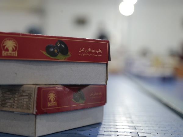 Iran dates supplier, mazafati dates supplier