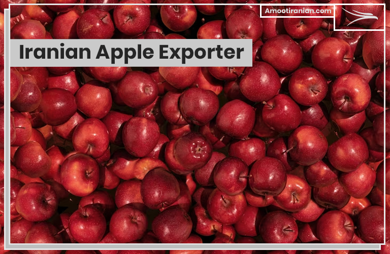 Iranian Apple Exporter