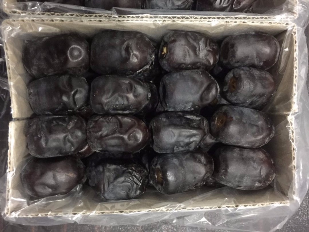 Iran Mazafati Dates | Amoot Iranian Trading Company