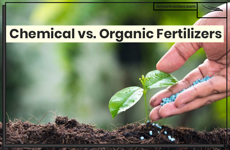 Chemical vs. Organic Fertilizers