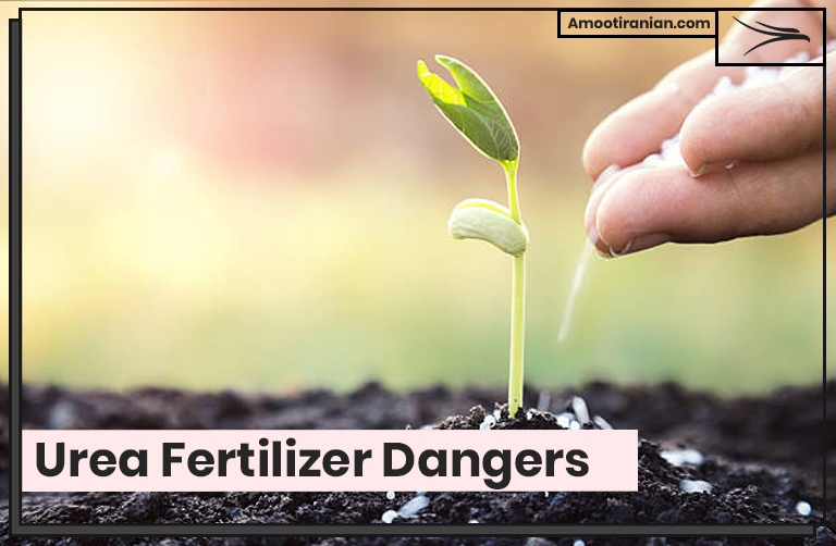 Urea Fertilizer Dangers