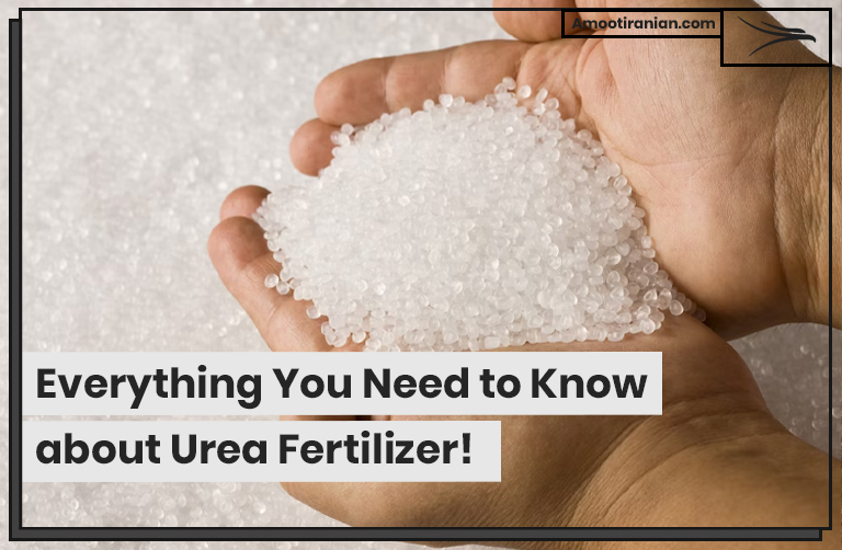 Everything You Need to Know about Urea Fertilizer!