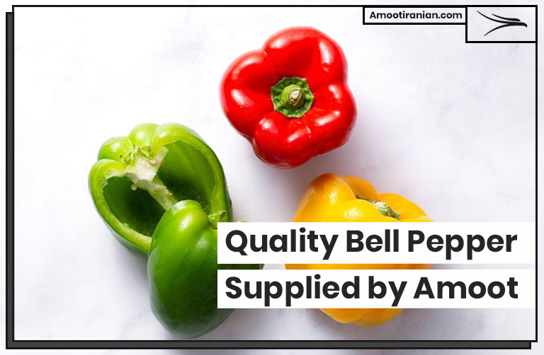 Quality Bell Pepper Supplied by Amoot
