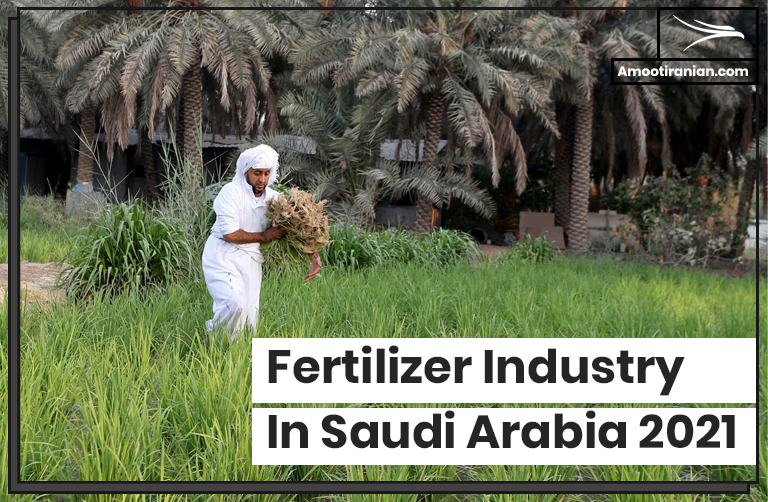 Fertilizer Industry in Saudi Arabia in 2021