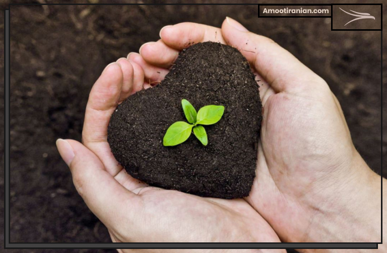 What Are the Advantages of Fertilizers?