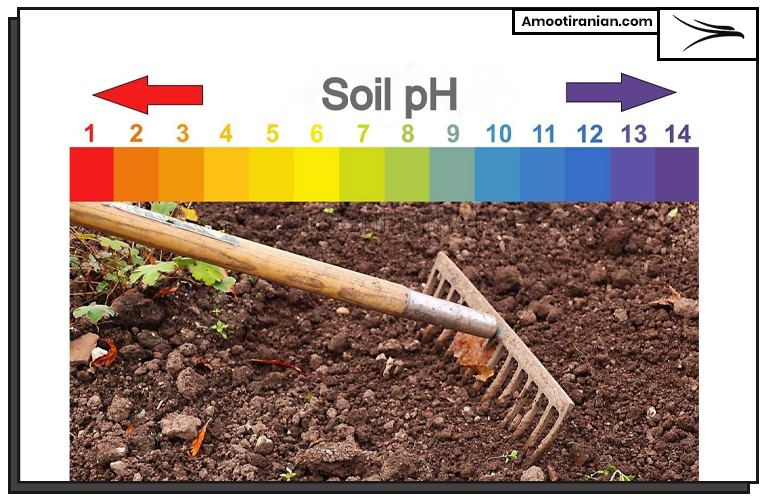 soil PH