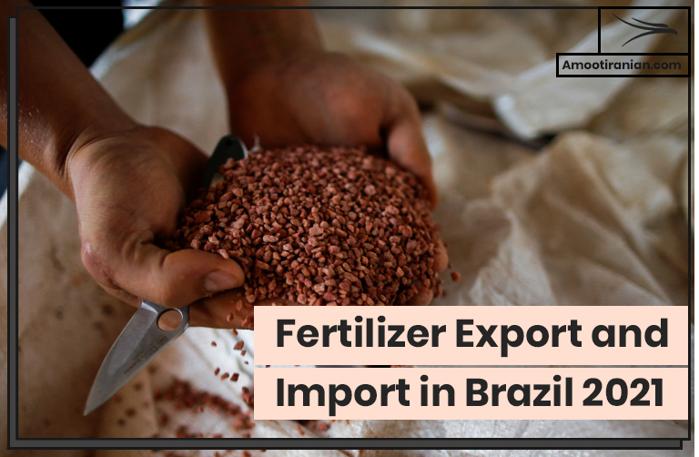 Fertilizer Export and Import in Brazil