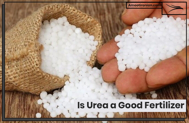 Is Urea a Good Fertilizer