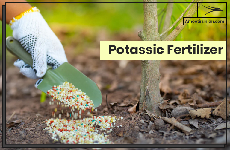 Potassic Fertilizer