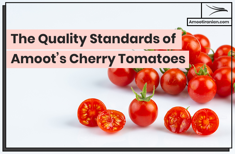 The Quality Standards of Amoot’s Cherry Tomatoes