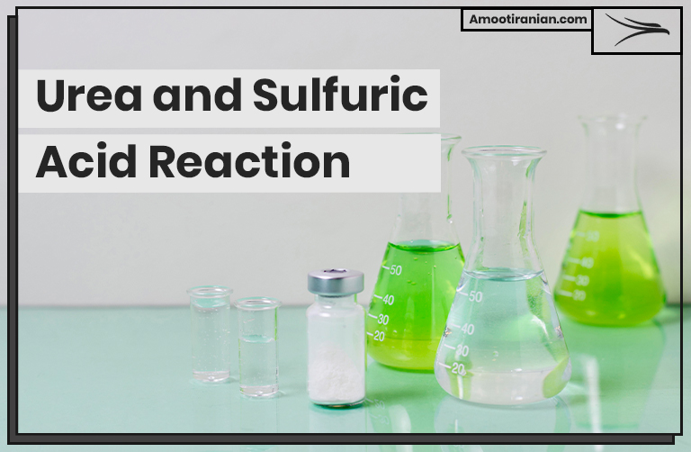 Urea and Sulfuric Acid Reaction 