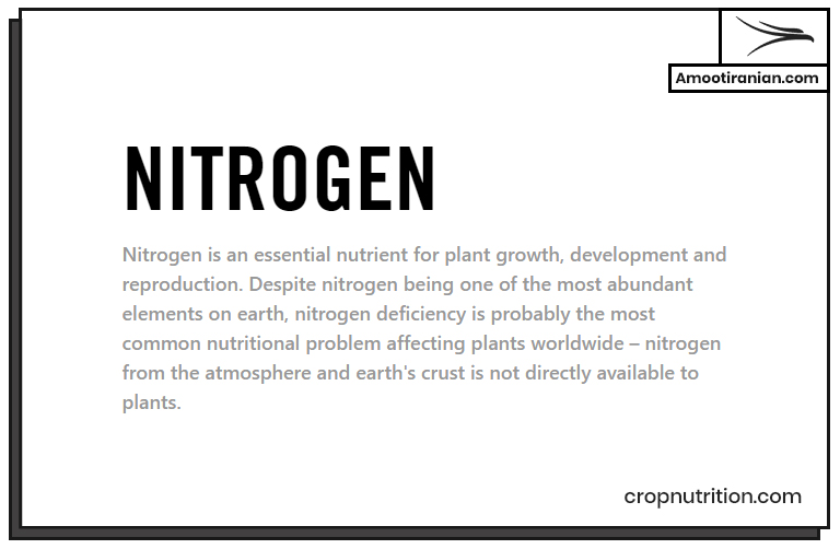 nitrogen fertilizers 