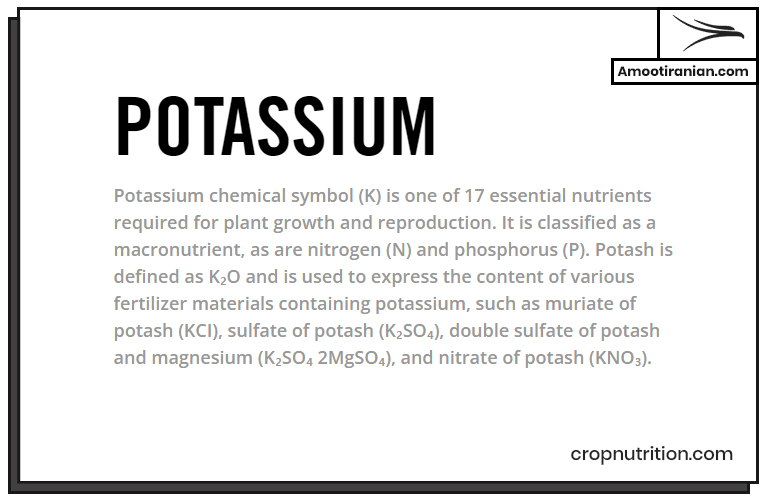 potassium in plants 