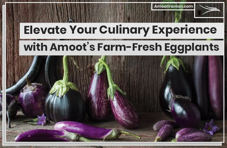 Elevate-Your-Culinary-Experience-with-Amoots-Farm-Fresh-Eggplants