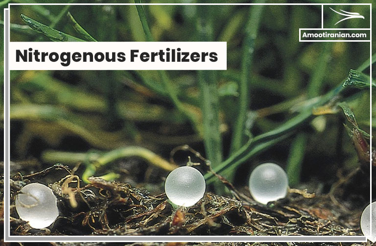 Nitrogenous-Fertilizers