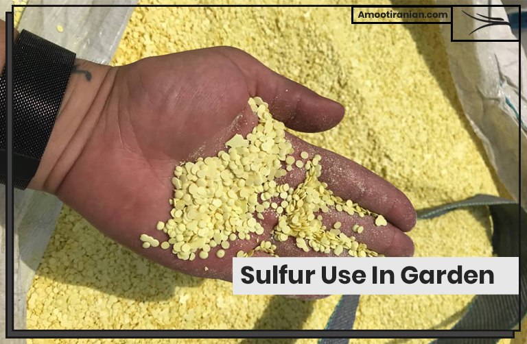 Sulfur Use In Garden