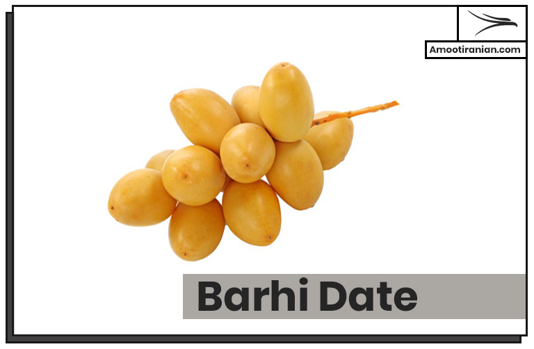 Iranian Barhi Dates