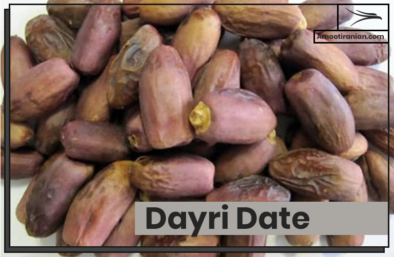 Iran Dayri Date Fruit Export by Amoot Company