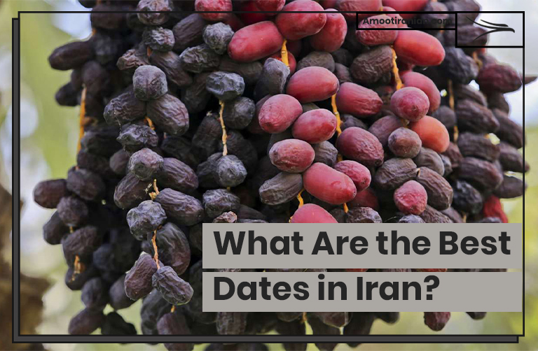 The Best Iranian Dates