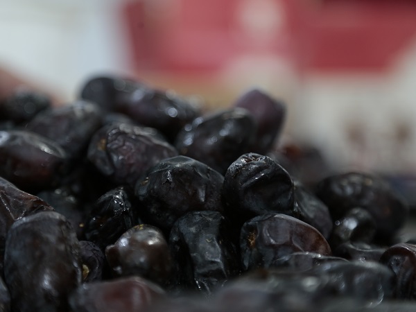 Mazafati Dates Manufacturers in Bam, Iran