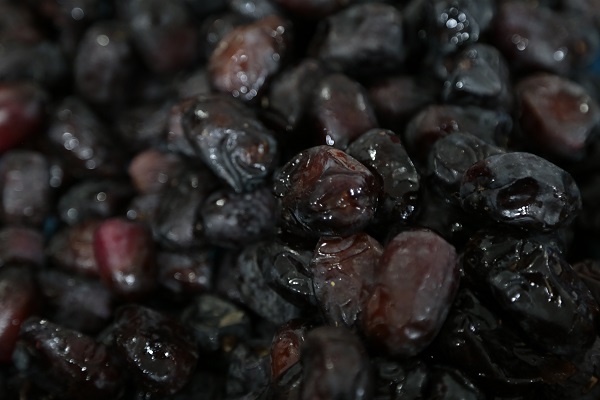 Mazafati Dates Manufacturers in Bam, Iran