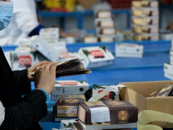 Mazafati Dates Manufacturers in Bam, Iran