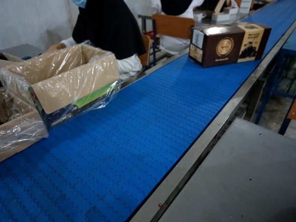 Mazafati Dates Manufacturers in Bam, Iran
