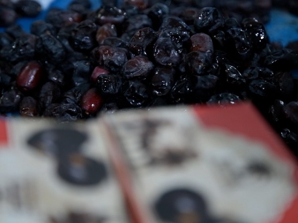 Mazafati Dates Manufacturers in Bam, Iran