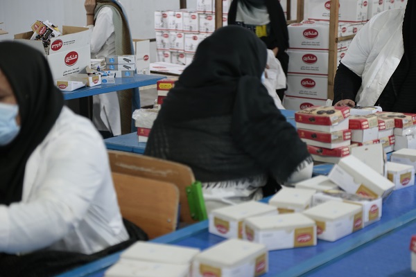 Mazafati Dates Manufacturers in Bam, Iran