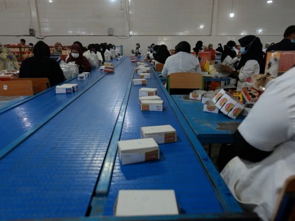 Mazafati Dates Manufacturers in Bam, Iran