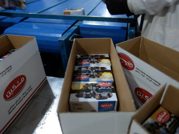 Mazafati Dates Manufacturers in Bam, Iran
