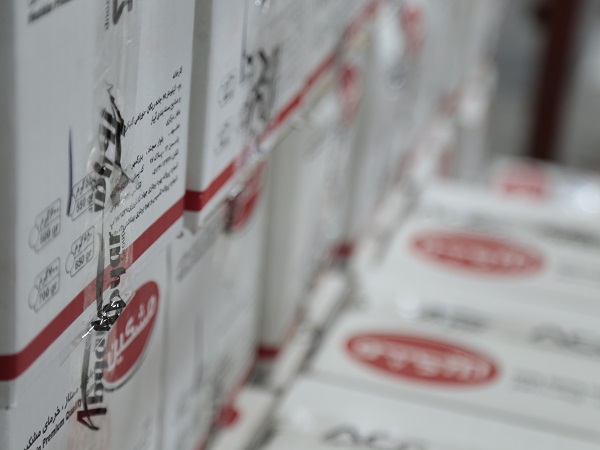 Mazafati Dates Manufacturers in Bam, Iran