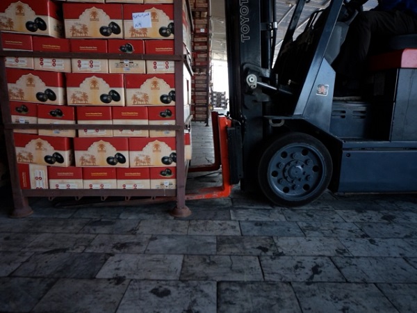 Mazafati Dates Manufacturers in Bam, Iran