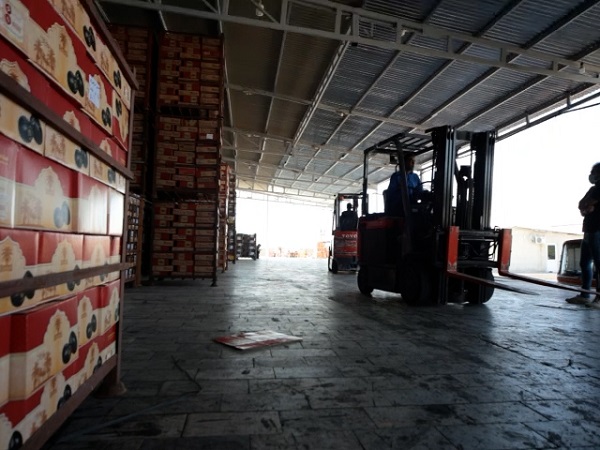 Mazafati Dates Manufacturers in Bam, Iran